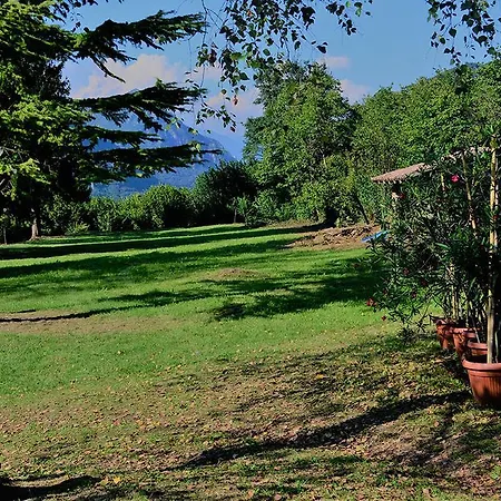 La Casina Idro Crone